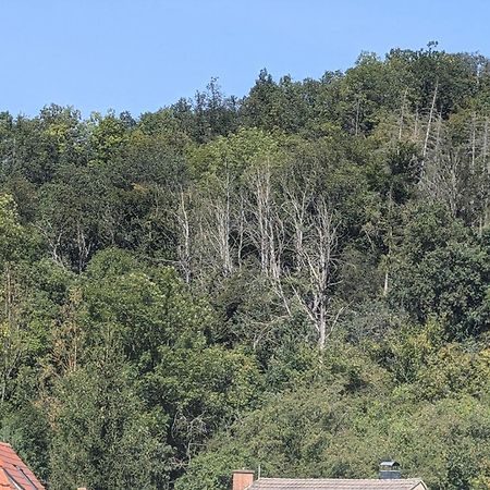 Ferienwohnung Mit Ausblick In Wimmelburg 외부 사진